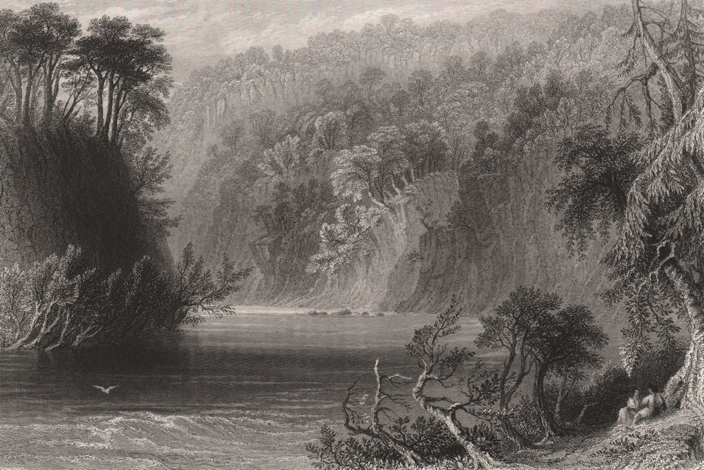 Coilsfield Banks, water of Ayr. Ayr River. Scotland. BARTLETT c1840 old print